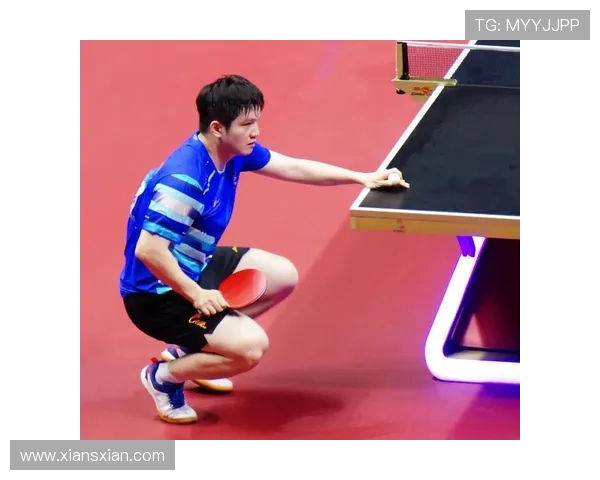 武汉乒乓球队实力强劲最新乒乓球力量排行榜前十名揭晓