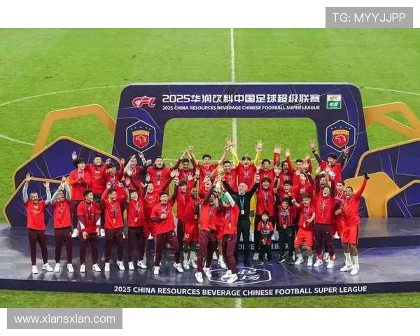 武汉足球队实力强劲荣登全国足球实力排行榜第八位