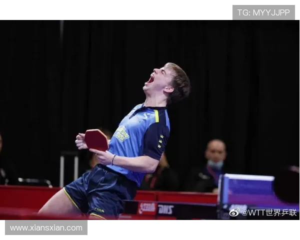 王芳专访：从乒乓球新星到世界冠军的奋斗与荣耀之路