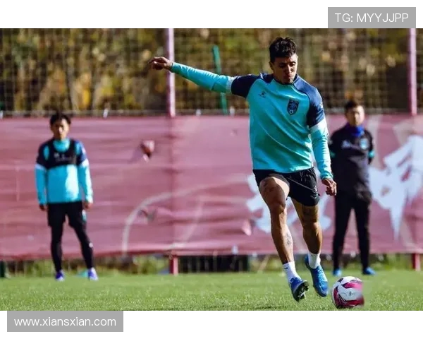 成都足球队在欧锦赛积分榜上以82分稳居第一名展现强劲实力