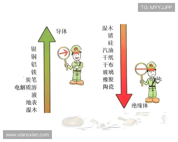 西安排球队的阵地战体系与排球战术的深度解析与应用探讨